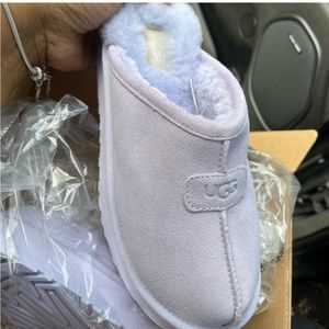 purple uggs slipper fresh out the box